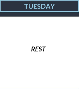 Tuesday